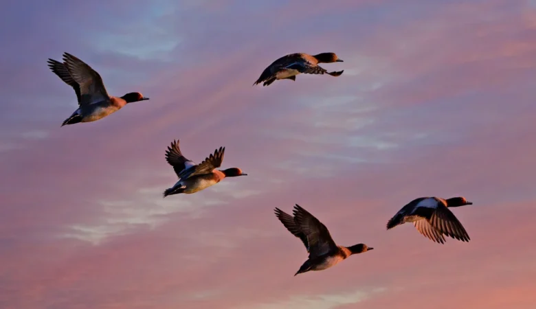 Cost-Aware Azure Storage Migration Architecture for Hybrid and Multi-Cloud Data Estates