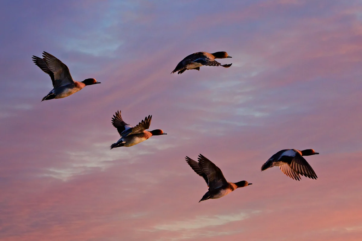 Cost-Aware Azure Storage Migration Architecture for Hybrid and Multi-Cloud Data Estates