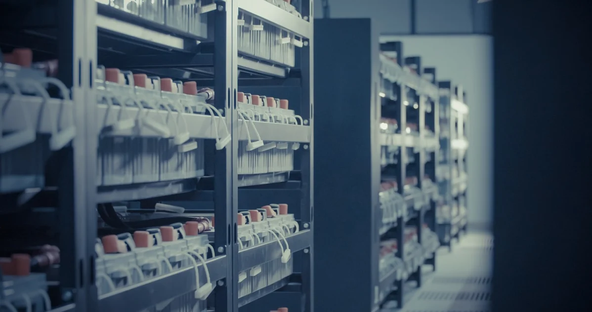 The Hosting Placement Playbook for Modern Infrastructure Decisions